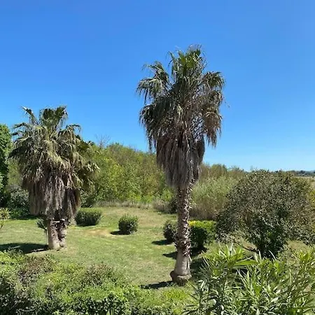 Bel T3 Avec Jardin Malibu Village * Canet-en-Roussillon
