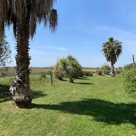 Apartment Bel T3 Avec Jardin Malibu Village Canet-en-Roussillon